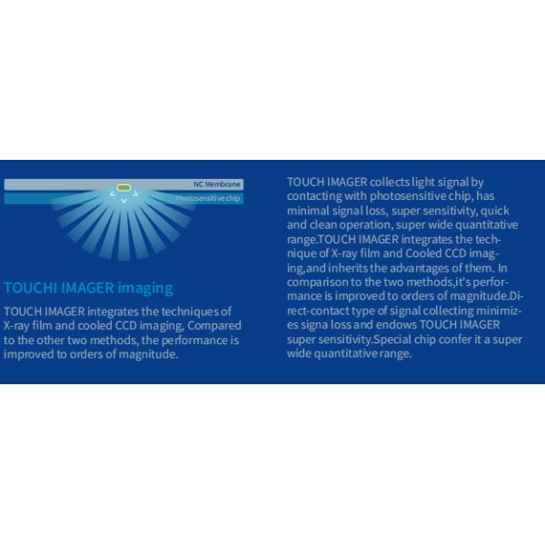 Immunoassay Automated Chemiluminescence Imaging System For Western Blot Transfer Protein Analysis