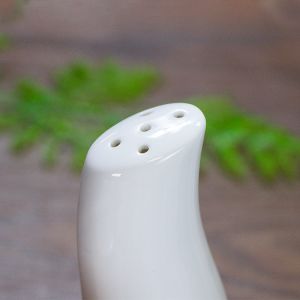 White Tableware Accessories Irregularity Salt And Pepper Shaker