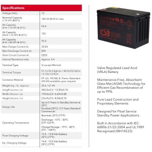 CSB Battery GP121000 12V 100Ah High Performance Rechargeable Maintenance-Free