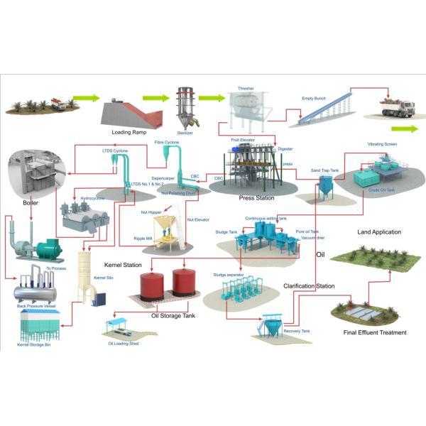 High-Efficiency 10TD Palm Oil Production Line for Cooking Oil Extraction