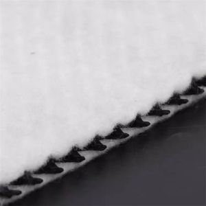 Geocomposite Drain 3D Composite Drainage Geonet with CE/ISO9001/ISO14001