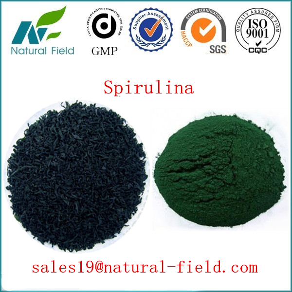 Buy spirulina with competitive price ISO and HACCP at wholesale prices