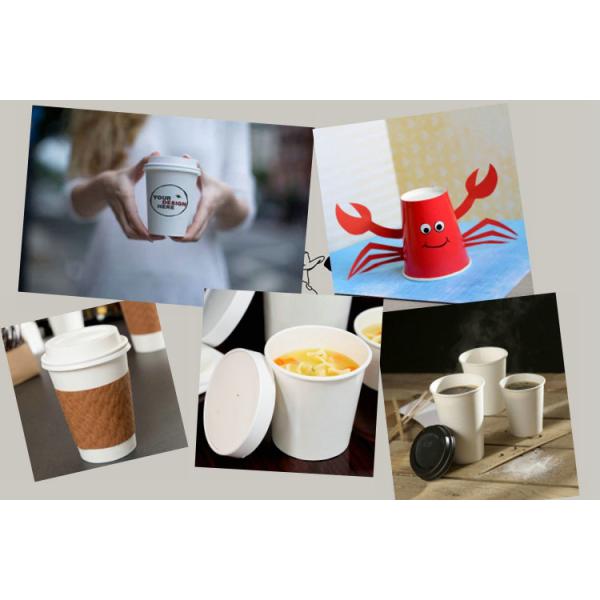 170 - 300gsm Food Grade Cupstock Base Paper Roll For Disposable Paper Cup