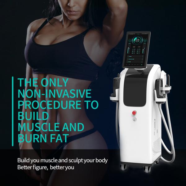 EMS Sculpt Magshape Body Slimming Weight Loss Machine