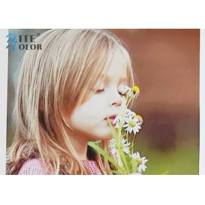 Premium Waterproof Matte Coated Paper