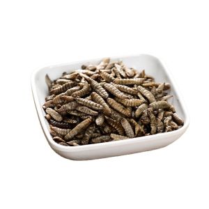 High Fiber Black Soldier Fly Powder Low Ash High Protein