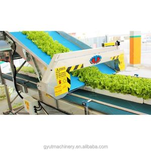 Harvesting Microgreens Sweet Peas Shoots Seeder And Top Coater Machine For