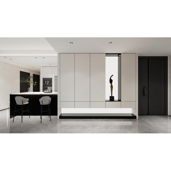 Buy Fadior Modern Minimalist White Stainless Steel Shoe Cabinet With Built-In Illuminated Back Panel Design at wholesale prices