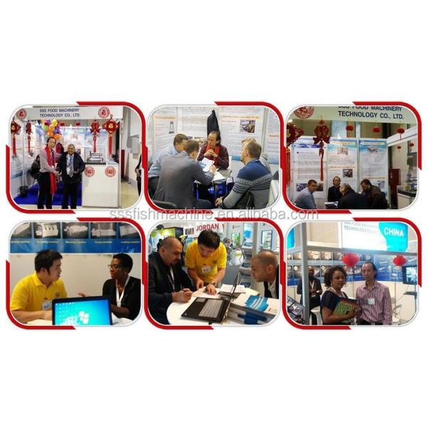 SSS high intelligence high output Color Sorter Machine for maize/corn/ wheat/rice /beans/grains product line