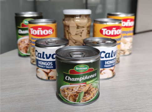 Buy 425g No Impurity Typical Taste Canned Sliced Mushrooms at wholesale prices