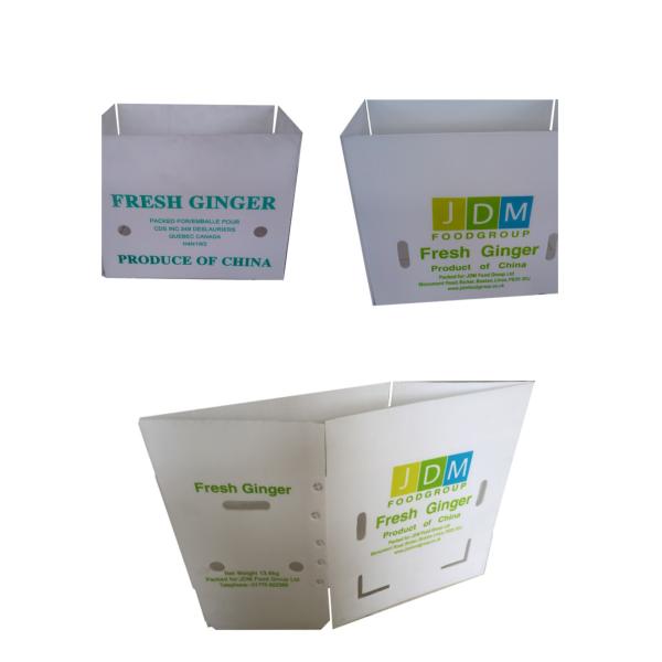 White 4mm Vegetable Packaging Box Reusable Corrugated Plastic Boxes