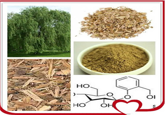 Best Anti-inflammation Reduce Arthritis Pain and Back Pain White Willow Bark Extract