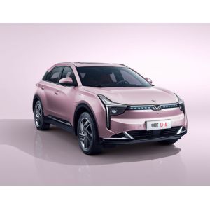 5 Seater Hozon Neta U Pro Electric Car SUV 2022 400KM-610KM