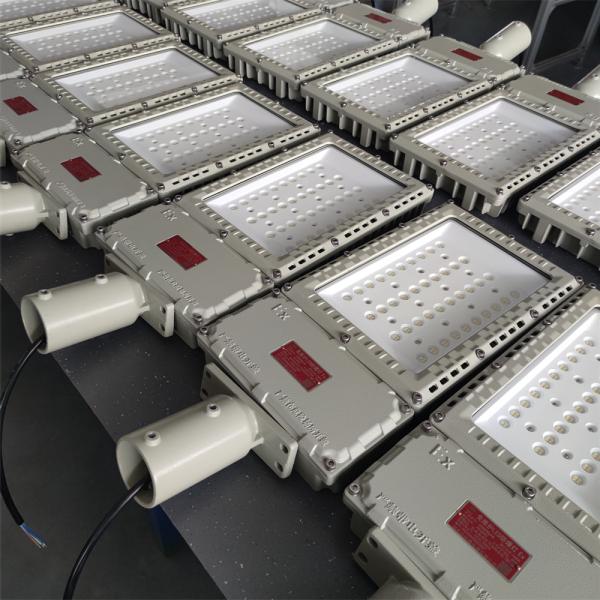 500 Watt 90-295Vac Atex Floodlight Customizable