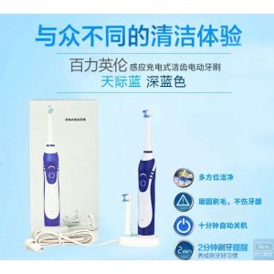 TB-1029 rechargable auto-timer toothbrush BLYL Brand Electric toothbrush, 2