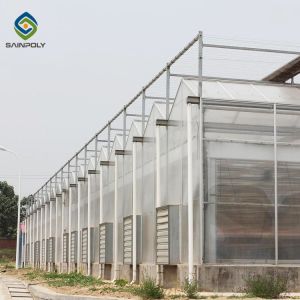 120km/H Multi Span Polycarbonate Greenhouse With Irrigation System