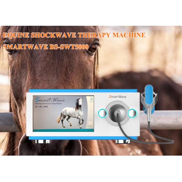 Professional Physiotherapy Radial Shockwave Therapy Machine Equine Shock Wave Equipment