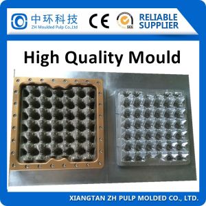 China Industrial Egg Plastic Tray Mould Farming Customized With 30 Holes on sale