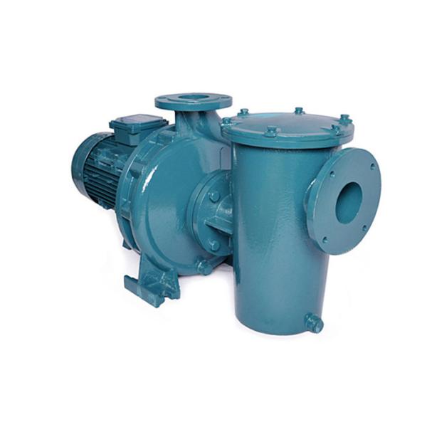 Iron Casting Jet Electric Pump Threaded Connection For Swimming Pool Water