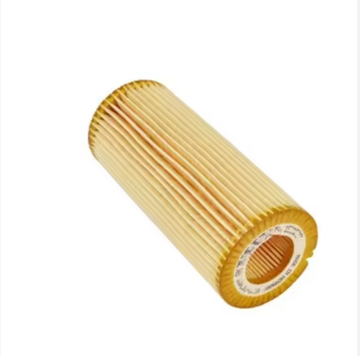 20779040 High Performance Truck Engine Oil Filter Element 21479106 22023120