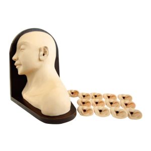 Quality Advanced right ear inspection Clinical simulation for hospital training for sale