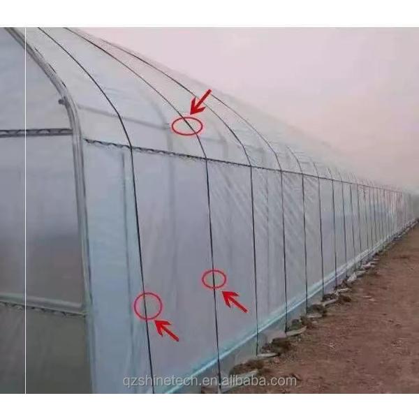 Greenhouse Film Band 200m 250m 300m Length For Agriculture Greenhouse