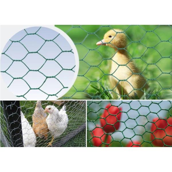 Animal Protection 75mm BWG18 Hexagonal Chicken Wire