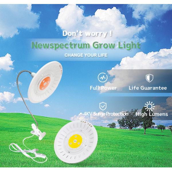 40W Light Bar Module AC110V 220V COB LED Chip For Indoor Greenhouse Plants