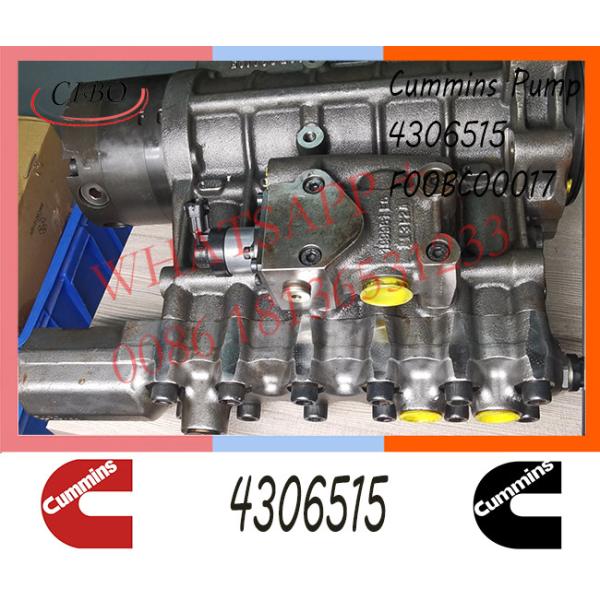 Diesel QSK45 QSK60 6CT Engine Parts For Truck Car PT Pump 4306515 F00BC00017 4306515 5256607 5256608