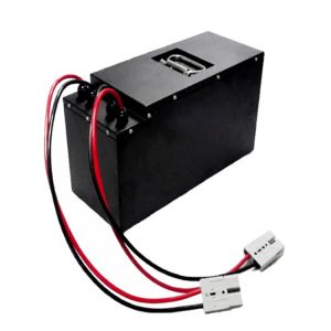 Custom Deep Cycle 60Ah 48v Golf Cart Lithium Battery