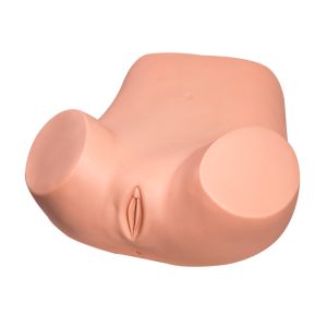 Quality Replacement Uterus Gynecologic Simulator Vaginal Pelvic Exam Simulator for sale