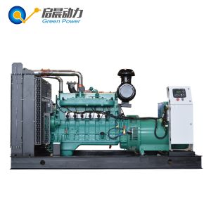 Biogas Natural Gas LPG Generator with Factory Price