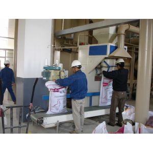 China 12th Industrial Pellet Mill Wood Sawdust Pellet Maker on sale