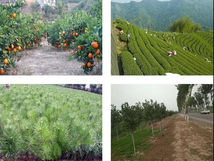 Herbicide Control Annual Weed Weedicide Mesotrione 15% SC 104206-82-8