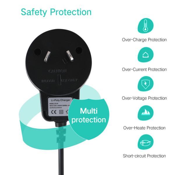 50g AC DC Wall Power Adapter 4.2V 1A Power Supply OEM / ODM