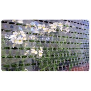 STRETCHED VENTILATED FILM,PRE-STRETCHED VENTILATED FILM, machine wrap ventilated