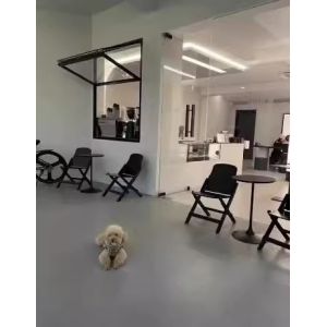 Alloy Household Aluminum Window Black Modern Aluminium Window Design Aluminium