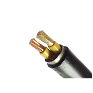 Power Station Muti - cores Low voltage Fire Resistant Cable IEC60502-1 IEC60228