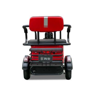 800w Leisure Electric Tricycle Open Three Wheel Electric Bike