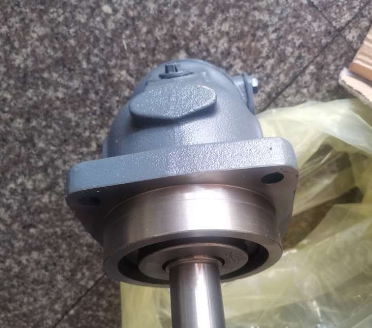 German Rexroth Hydraulic Piston Pump with 12 Months Warranty 100% Tested and