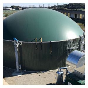 Q355B Q235B Steel Plate Anaerobic Digester Tank with 1 Year Warranty
