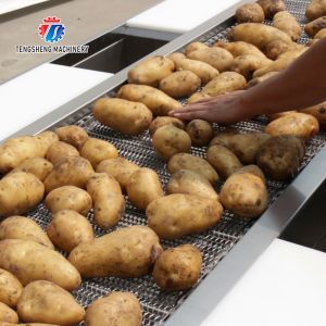 Customized Vegetable Processing Machine Fruit Sorting Table