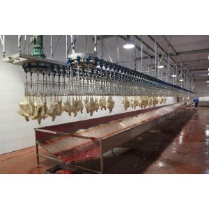 1500KG Poultry Slaughtering Equipment SS 304 Poultry Meat Processing Equipment