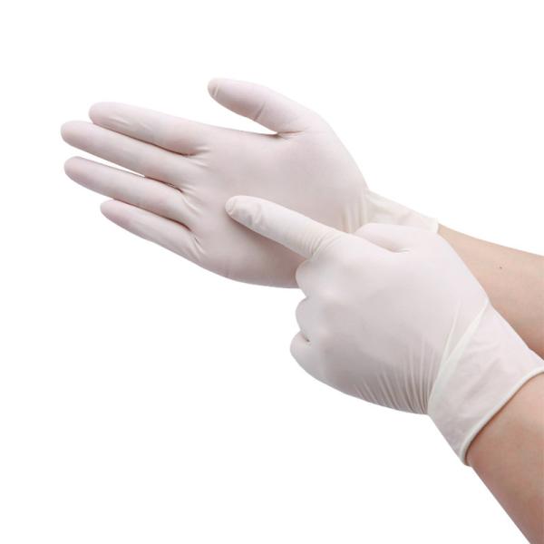 Buy Personal Protective Medical Disposable Latex Gloves for examination at wholesale prices