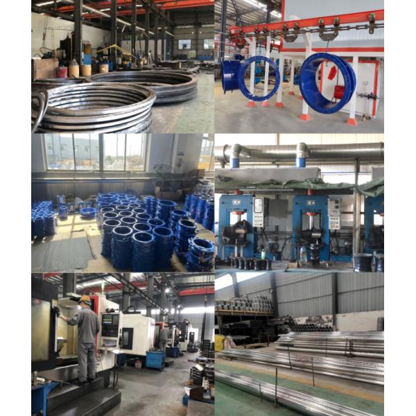 ANSI Aging Resistant Carbon Steel Universal Wide Range Flange Adapters Couplings