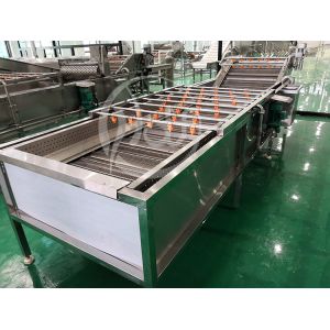 Vegetable Fruit Washing Machine Salad Washing Machine Bubble Washer