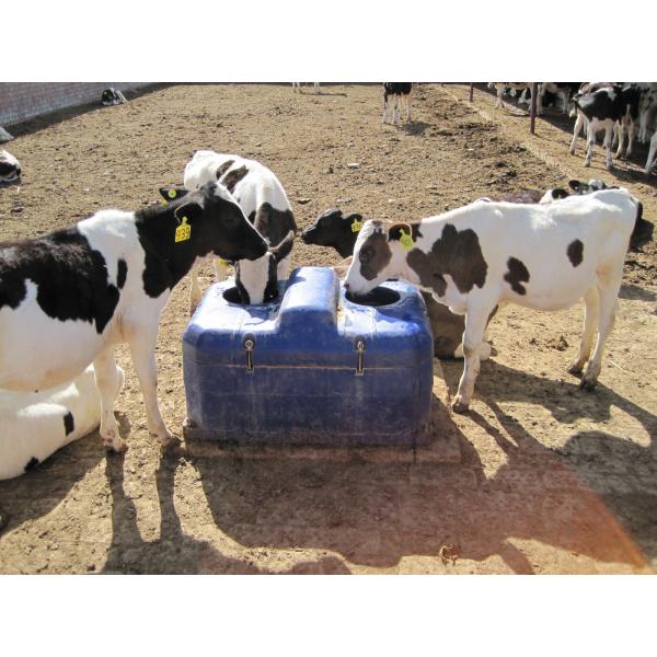 LLDPE Livestock Water Trough
