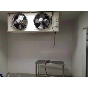 100 Tons Cold Storage Room for Farm Vegetables Fruits Nature Distribution Solution