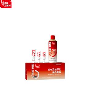 Biaobang Brake System & Parts Cleaner – Professional Strength – International Certification