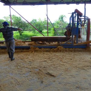 Double Blades Swing Blade Saw Mills For 6 Meters Flooring Material